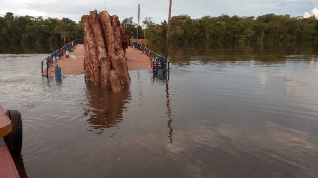 Carreta carregada com madeira cai de balsa ao tentar atravessar rio;  veja vdeo