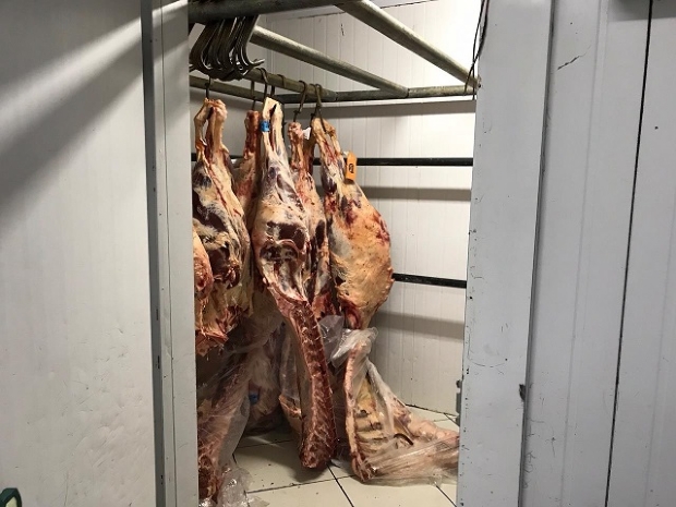 Operao contra venda clandestina de carne encontra produtos vencidos e moscas em congelador