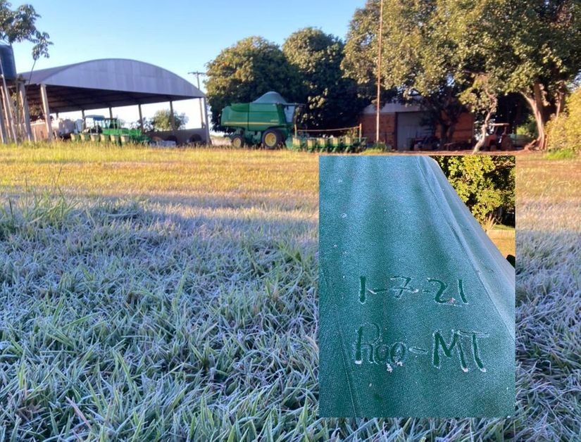 Produtores rurais registram geada em fazendas de Mato Grosso;  veja fotos