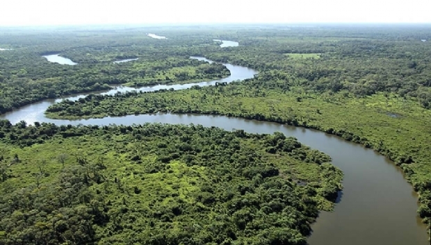 Sema apura denncia de morte de peixes no Pantanal;  veja vdeo  