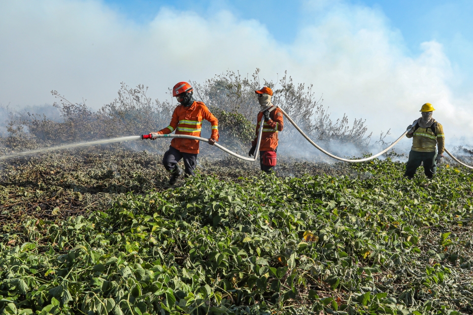 Corpo de Bombeiros combate 34 incndios florestais em MT, enquanto focos de calor chega a 324