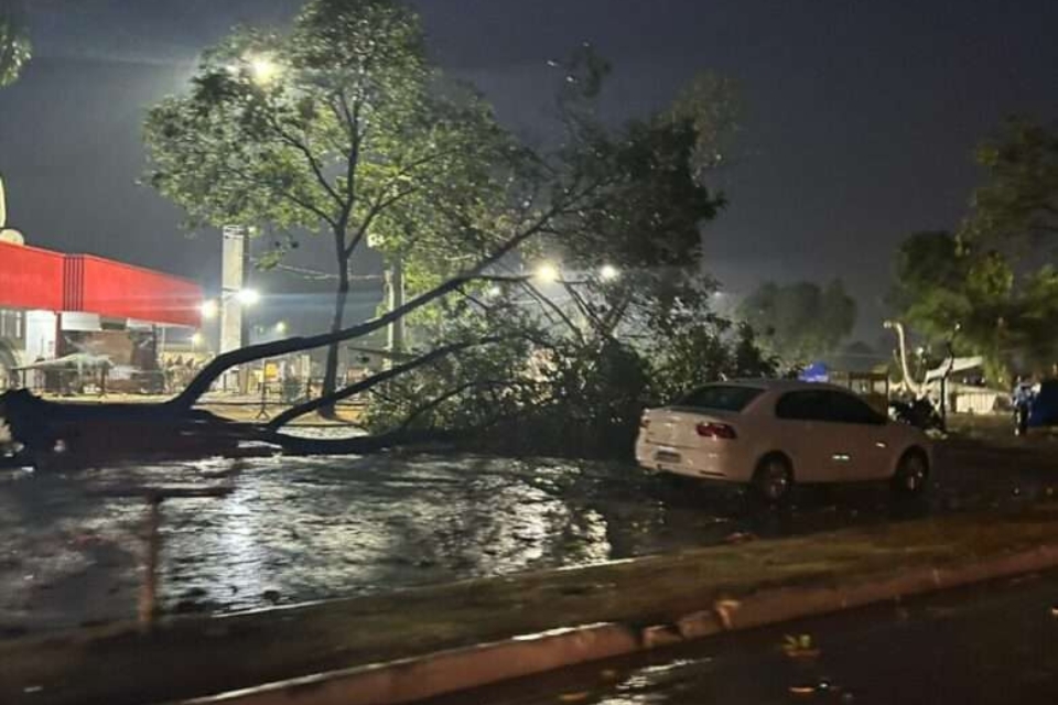 Temporal com granizo derruba rvores e causa estragos em cidade de MT: veja vdeo