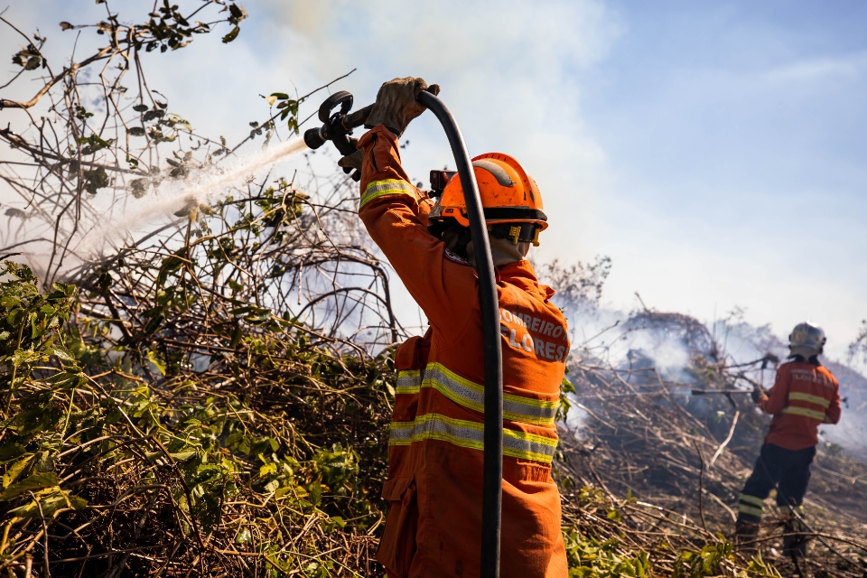 Corpo de Bombeiros combate 3 incndios florestais em Chapada e no Pantanal