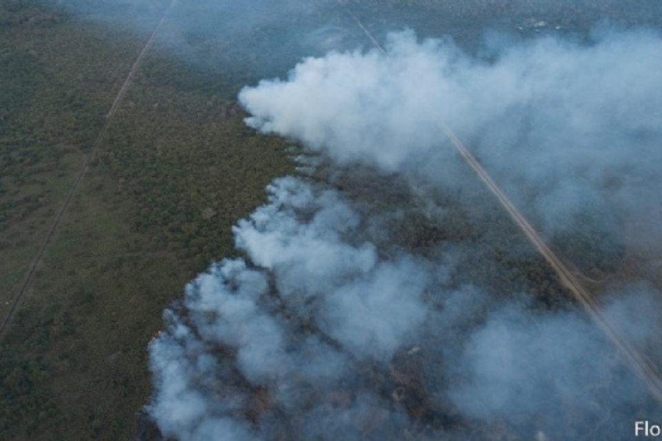 Jlio atribui problemas no Pantanal a estratgias mal formuladas 'em gabinetes de ar refrigerado'