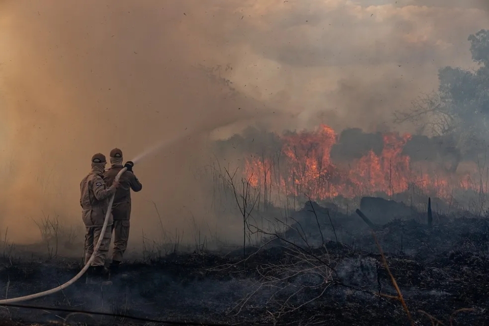 Bombeiros combatem 23 incndios florestais em MT, que registra 727 focos de calor nas ltimas 24 horas