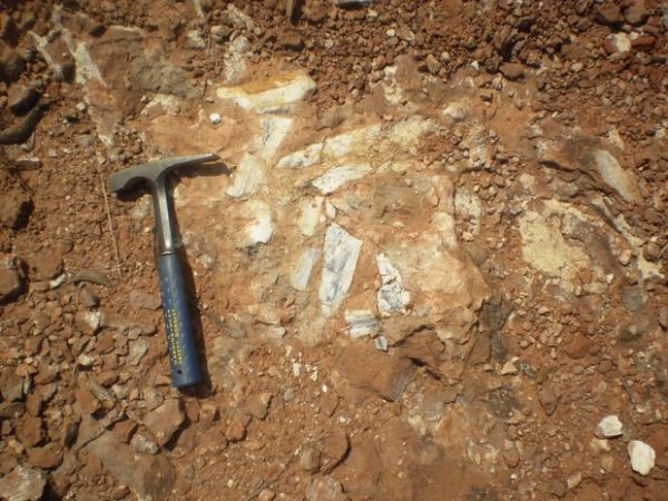 Fragmentos de titanossauro so encontrados em stio arqueolgico