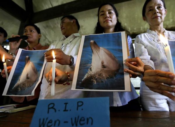 Manifestantes filipinos usam velas e exibem imagens do golfinho Wen Wen