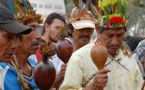 ndios argumentam que rea e disputa  territrio tradicional guarani kaiow