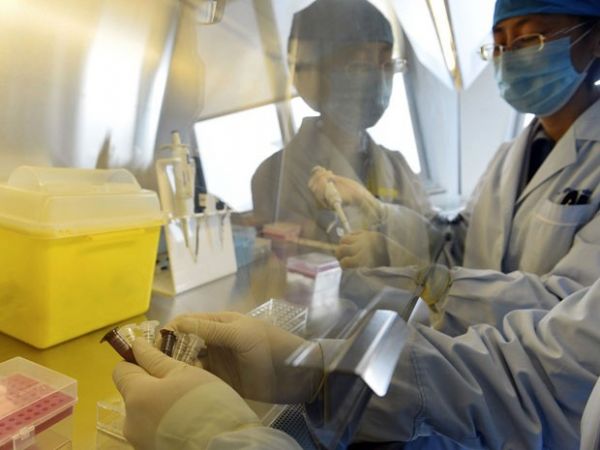 Estados Unidos dizem estar atentos ao novo vrus da gripe aviria
