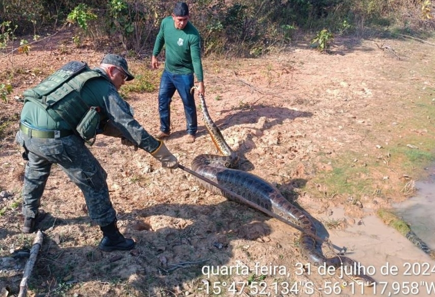 Mais um dia em VG