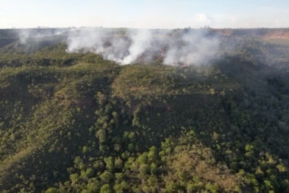 Incndio atinge propriedade prxima ao Santurio de Elefantes; veja vdeo