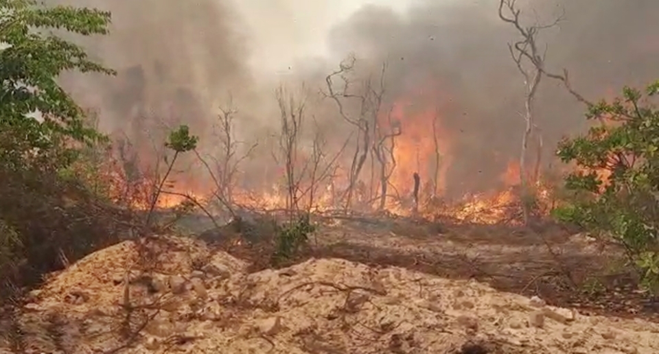 Bombeiros e funcionrios tentam impedir que pousada seja destruda por incndio florestal; veja vdeos