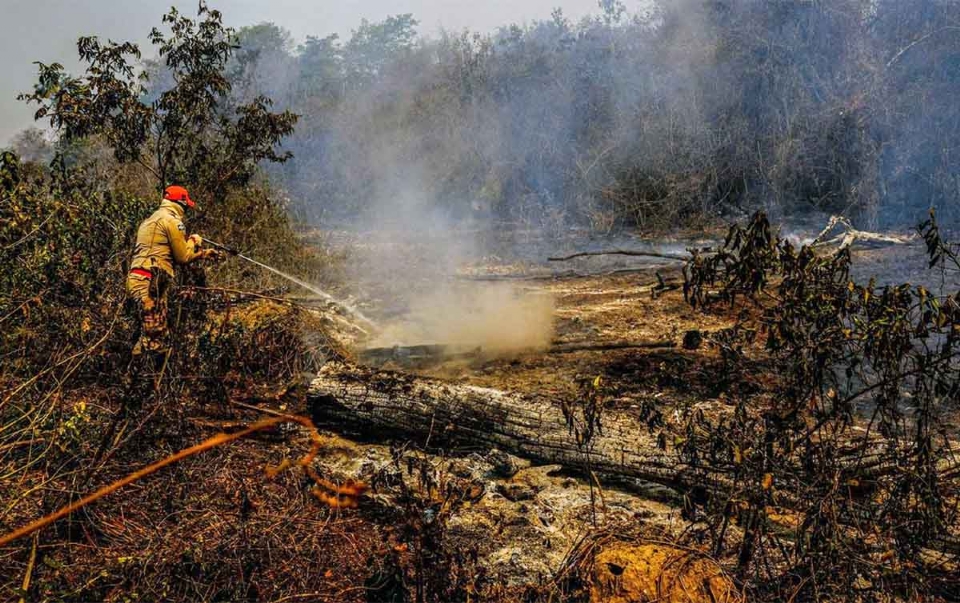 Mato Grosso  estado com maior nmero de focos de incndio; alerta para queimadas nos biomas