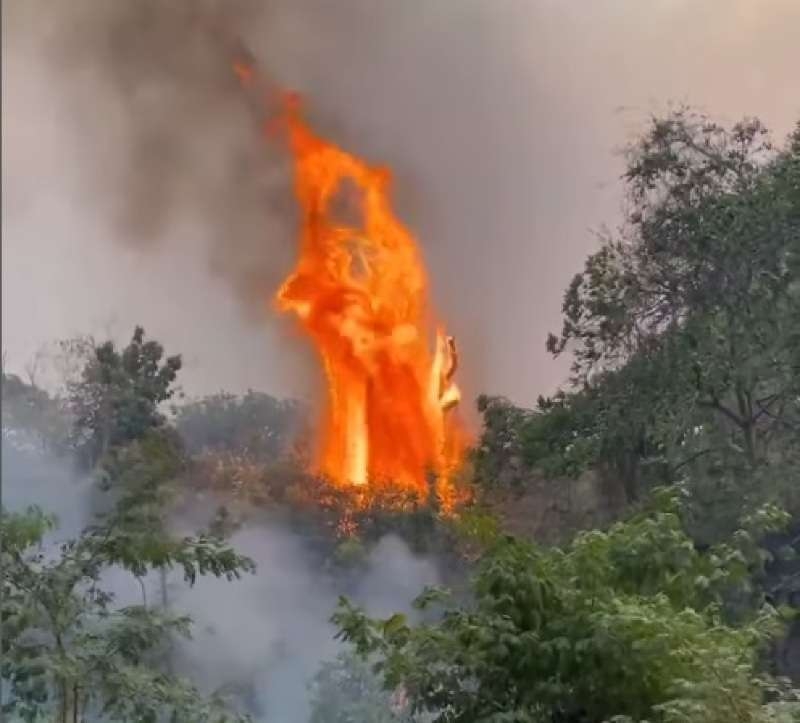 Pantanal j teve um milho de hectares queimados; trabalhos de conteno na Transpantaneira continuam