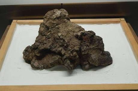 A pedra foi descoberta no ano de 1983 , em Serra Pelada, no estado do Par, e ainda  mantida em seu estado natural