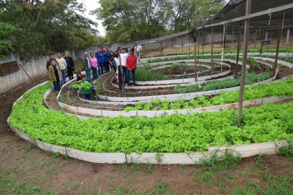 Produo em horta escolar conta com a participao de 120 estudantes de escola estadual