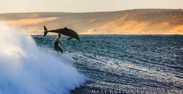 Surfista pega ondas acompanhado por golfinhos na Austrlia