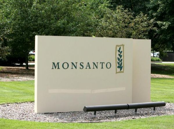 Defesa da Monsanto afirma que vai at STF para reaver royalties de soja transgnica