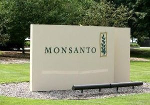 Comisso Especial vai debater cobrana de royalties da Monsanto