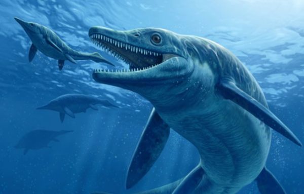 Fssil pr-histrico de 'monstro marinho'  descoberto nos EUA