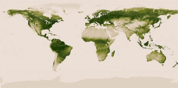 Satlite da Nasa consegue captar vegetao existente em todo o planeta