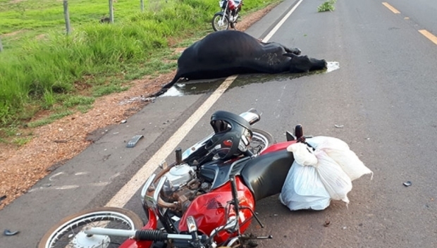 Homem sofre traumatismo craniano aps bater com motocicleta em vaca