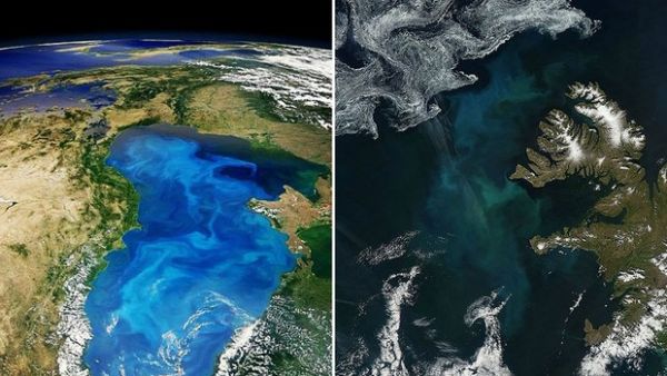 'Fertilizao' de oceano pode ajudar a conter aquecimento global, diz estudo