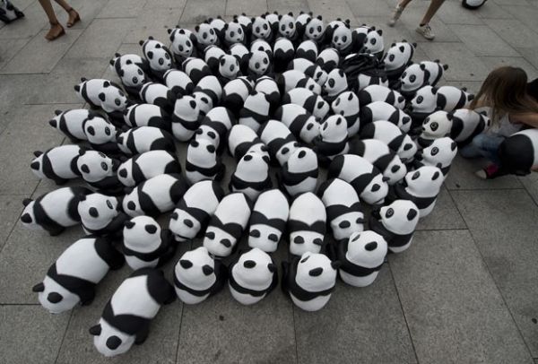 ONG faz campanha por pandas com 1,6 mil animais de brinquedo