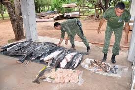 Perodo de piracema termina com mais de 4,6 mil quilos de pescado apreendidos