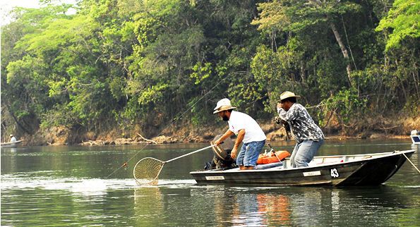 Pesca em Mato Grosso est proibida at ms de fevereiro por conta da piracema