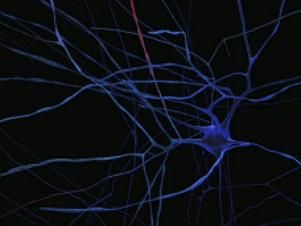 Mega estudo tentar criar 'crebro digital' com simulaes por computador