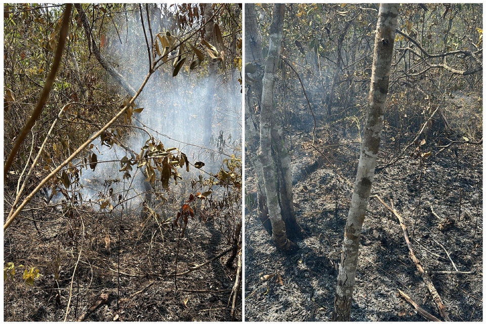 Polcia Civil prende homem que ateou fogo em zona rural de forma intencional