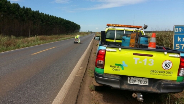 Concessionria retira 1,4 tonelada de lixo por dia de rodovia federal que corta MT