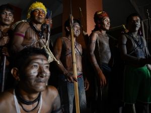Mundurukus libertam bilogos aps governo anunciar suspenso de estudos sobre Rio Tapajs