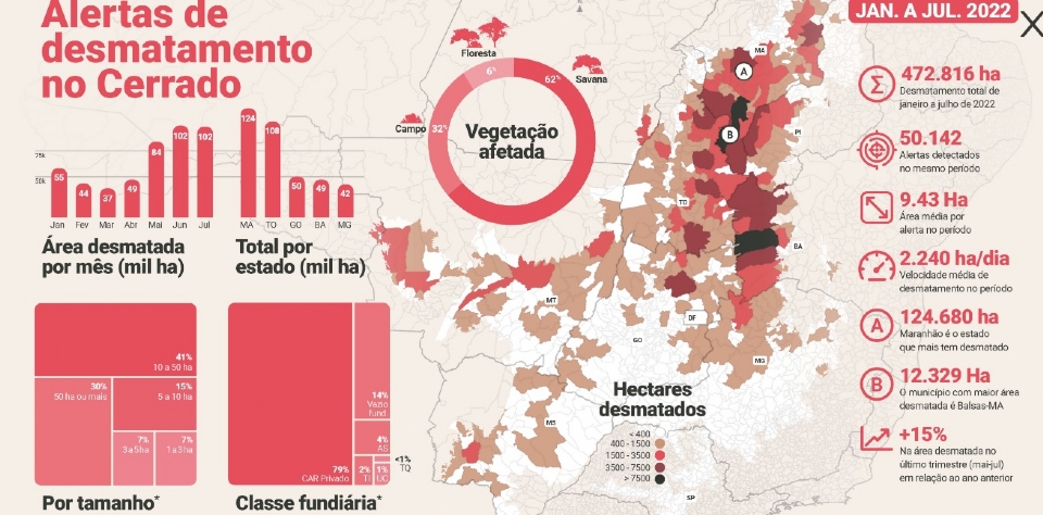 MT teve 4.192 alertas de desmatamento no cerrado de janeiro a julho de 2022; 333 em terras indgenas
