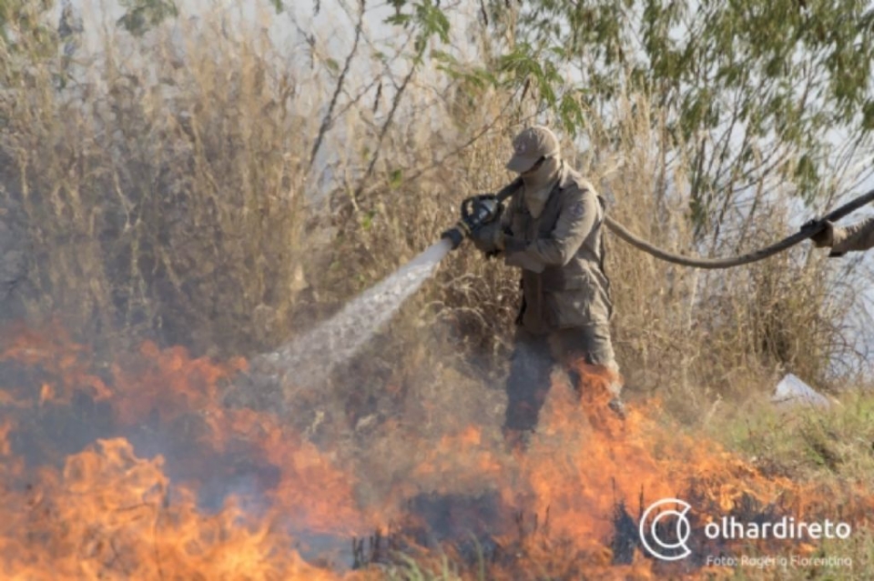 Focos de incndio no Pantanal registram aumento de 980% nos primeiros meses deste ano