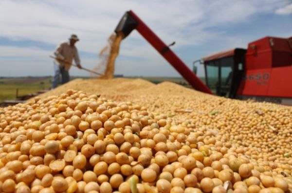 Dupla  presa e polcia recupera 50 toneladas de soja furtada de fazenda em MT