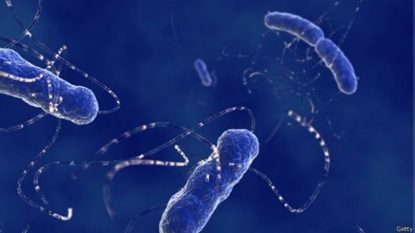 Em 35 anos, 'superbactrias' podero estar matando mais que cncer