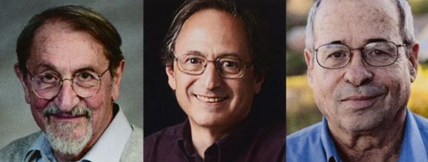 Trio leva Nobel de Qumica de 2013 por modelos de sistemas complexos