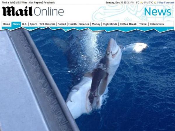 A foto de um tubaro devorando outro chamou a ateno de internautas do site Reddit