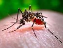 Campanha do governo do Estado de combate  dengue