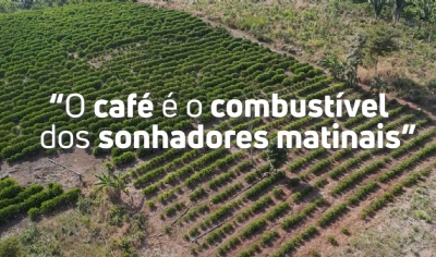 Aes do governo do Estado incentivam a produo do caf em Colniza