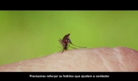 Sinop Energia apoia campanha de combate a dengue e refora sobre as medidas de preveno