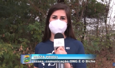 Projeto de Lei prope castrao itinerante de ces e gatos de rua e domsticos