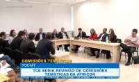 Retrospectiva 2018: TCE sedia reunio de comisses temticas da Atricon