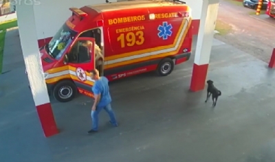 Bombeiros salvam criana encontrada em fundo de piscina2