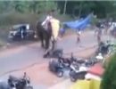 Elefante furioso destri motos e carros durante festival religioso