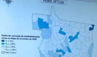 SEDEC MT fecha segunda etapa de vacinao contra aftosa de 2019 com 99,85% de cobertura