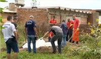 Idosa de 84 anos  morta e enterrada pelos prprios filhos