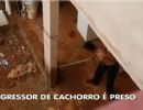 Jardineiro  preso aps agredir cachorro com cabo de vassoura